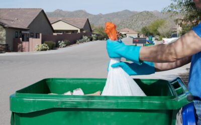 Everything You Need to Know About Trash Bin Washing Explained